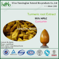 natural turmeric supplement